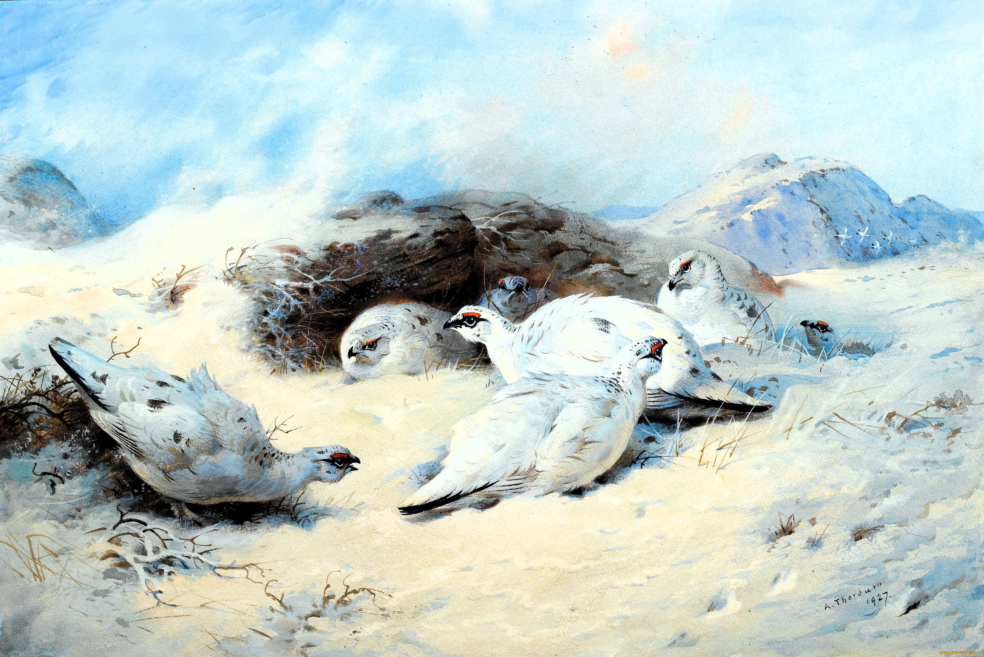 , archibald thorburn, , , , 